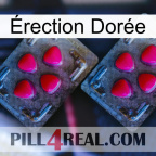 Érection Dorée 14